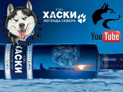 Хаски биттер. Угольно-чёрный сибирский хаски. Сибирский хаски черно белый. Хаски биттер. Сибирский хаски кобель.