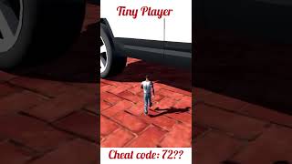 Tiny Player Cheat Code