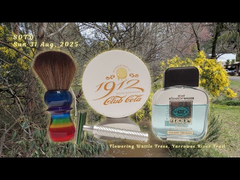 SOTD s449 ||  Wickham 1912 - Club Cola | Yaqi “Rainbow” 26 Pony |  Alpha “Shave Dad”