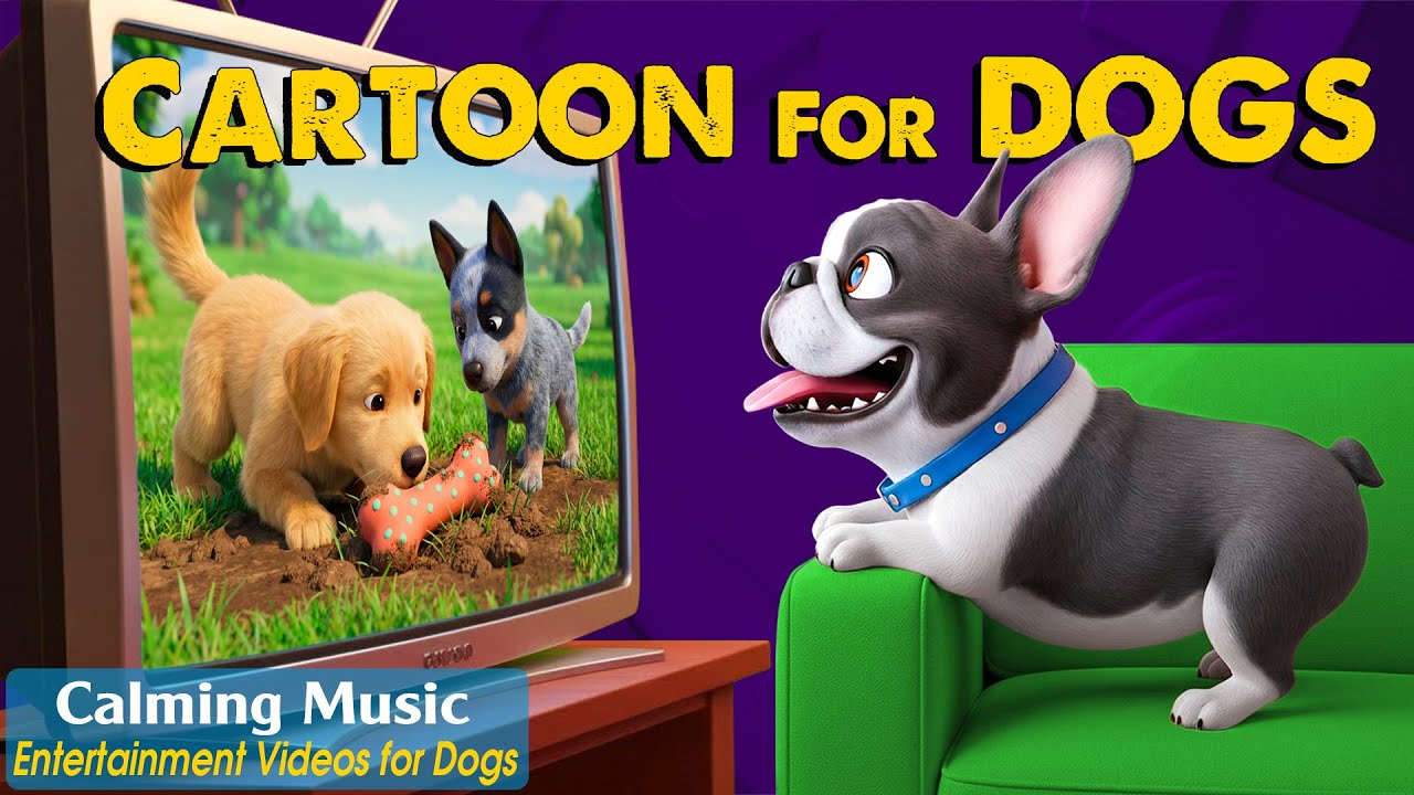 Dog Cartoon With Music: Best Relaxing DOG TV to Prevent Boredom for Dogs Home Alone - Calming Music