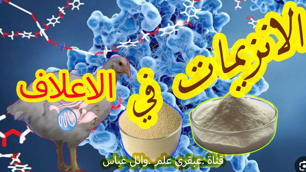 الإنزيمات المبتكرة: سر تحويل الألياف الصعبة في الأعلاف إلى مكونات هضم قابلة للامتصاص