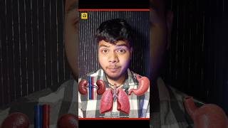 How long can you survive without one body part?  #248