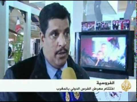 في ختام المعرض الدولي للفروسية بالجديدة