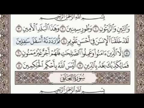 الصفحة 597 الشيخ محمد صديق المنشاوي 
