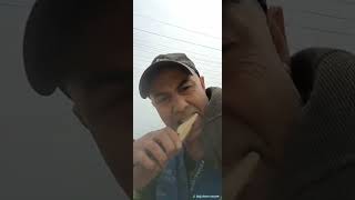 Bu Neya Tadi Berbat Odun Gibi Tadi