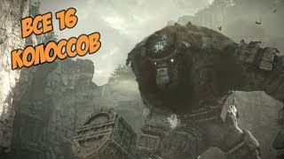 Все Колоссы В Shadow Of The Colossus