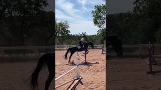 Lyric’s first 2’9 course- and at a horse show!