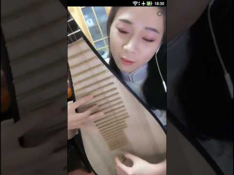 琵琶 青花瓷 Up直播