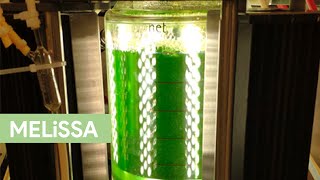 Download Lagu Urine to produce oxygen \u0026 food in space – MELiSSA MP3