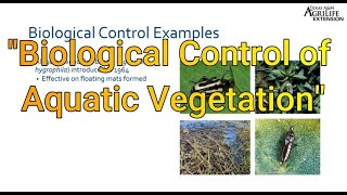 The Biological Control of Aquatic Vegetation