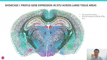 Illuminating Biology with Spatially Resolved, Single cell Transcriptomics