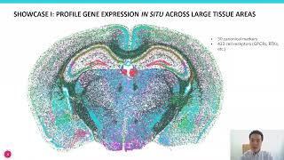 Illuminating Biology with Spatially Resolved, Single cell Transcriptomics