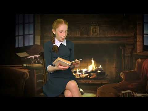 Книга юнкора - Александр Курляндский