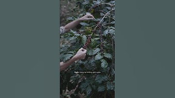 Sắp gỡ vướng VAT: Hàng nghìn tỷ đồng vốn doanh nghiệp chuẩn bị khai thông