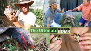 The All-time Turtle and Tortoise Tutorial and How To Videos of Kamp Kenan