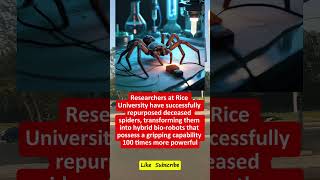 🕷️ “Dead spiders turned into robots!” — Controversial science experiment! 🧬 Is this the start of “ Profile