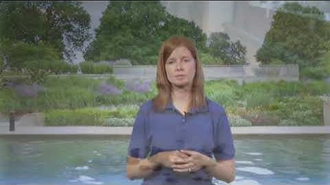 Water Quality Video Series: What is Nonpoint Source Pollution?