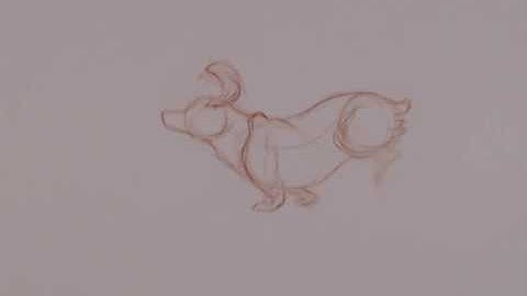 Corgi Quadreped Run Cycle