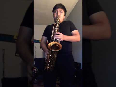 Fortnite- Phone It In Saxophone Cover