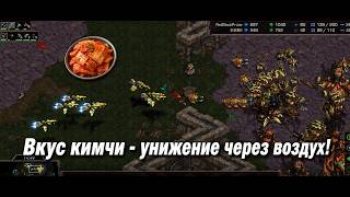 Старкрафт P VS Z Вкус кимчи - скауты в деле!
