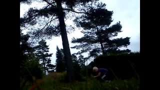 Wallspin and wallflip