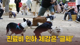 반려동물 진료비 부가세 면제 추진 [말하는 기자들_경제_0706]