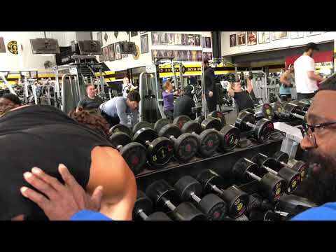 Glass DB One Arm Row