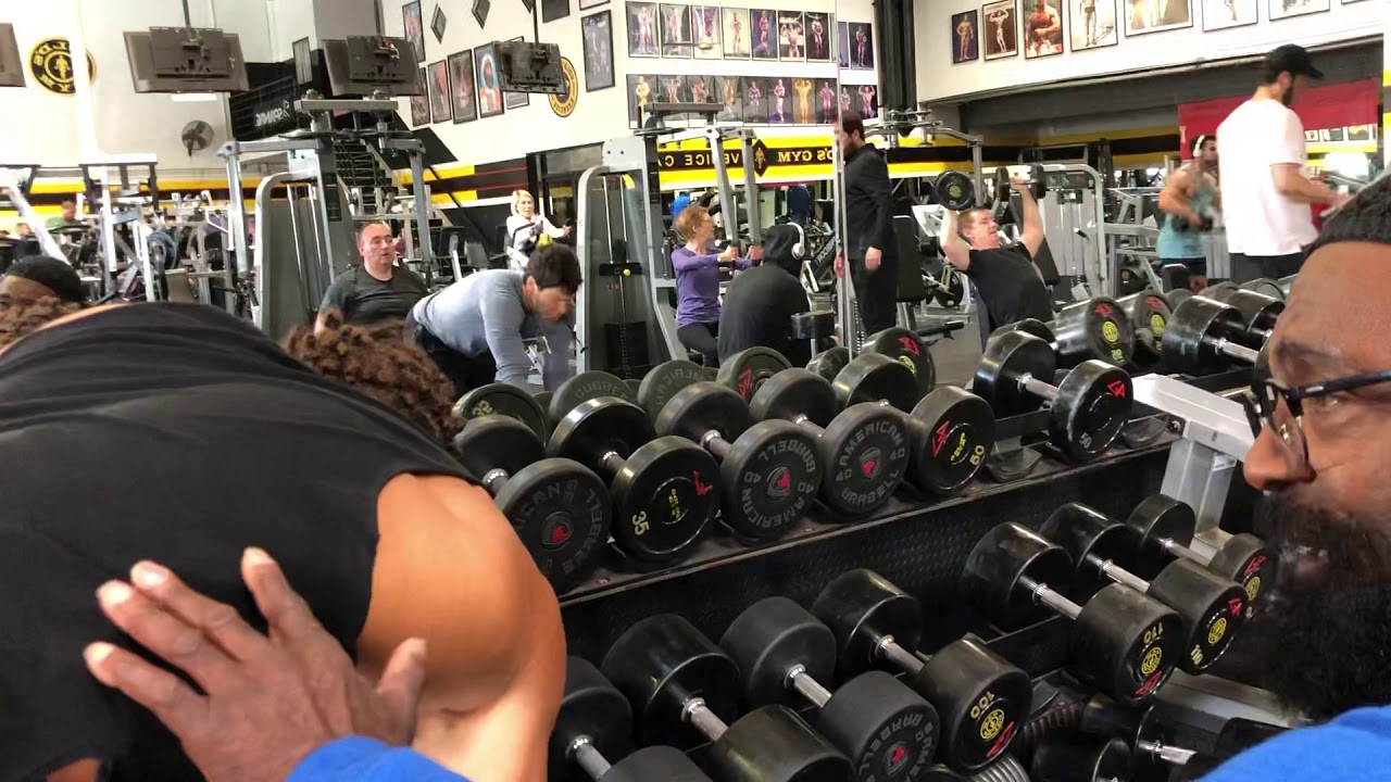 Glass DB One Arm Row