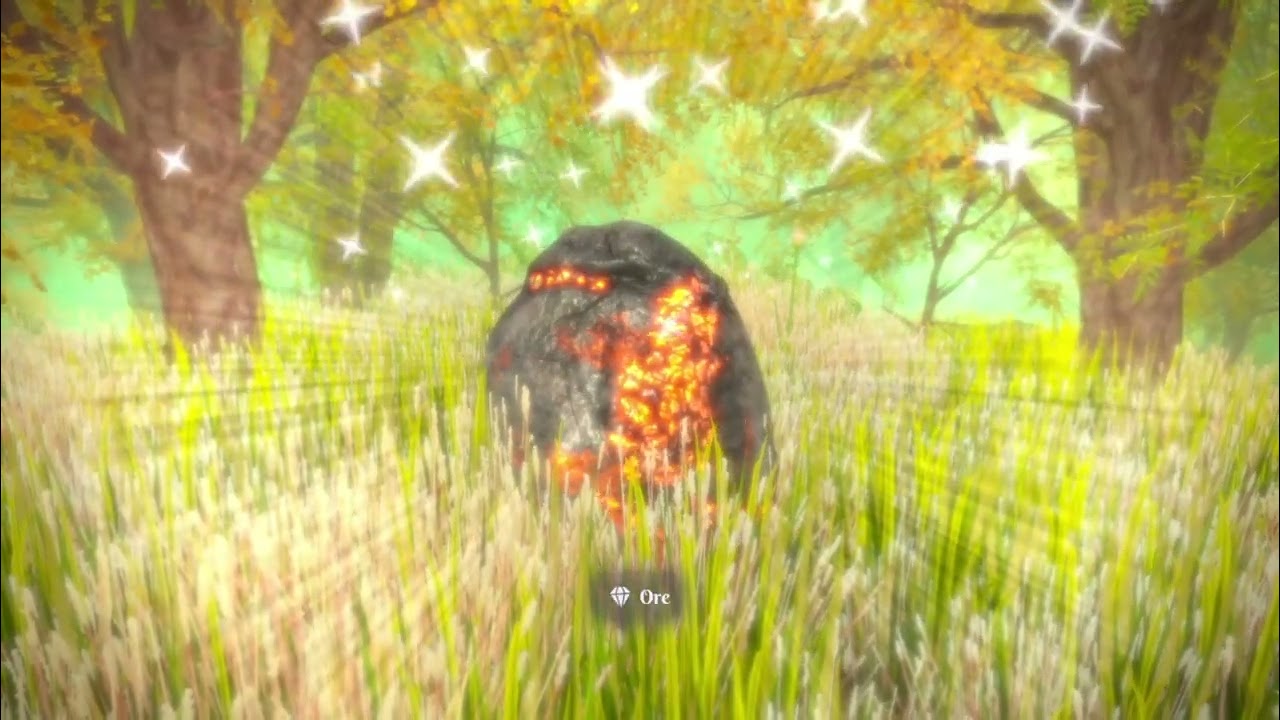 Hidden Treasures in the Forest of Dreams Gameplay Video