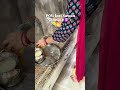 GRWM for the Last Sawan Somwar 🕉️✨ | Temple Mini Vlog #grwm #sawanspecial #shorts