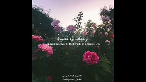 القارئ عبد الله الموسى .حالات واتساب دينيه