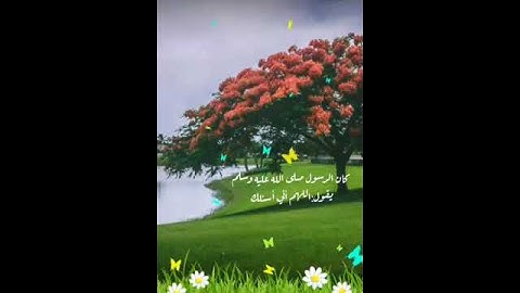 دعاء رزق جميل جداً من اذكار الصباح حالات واتساب و تيك توك