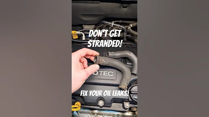 THIS is why you fix oil leaks!