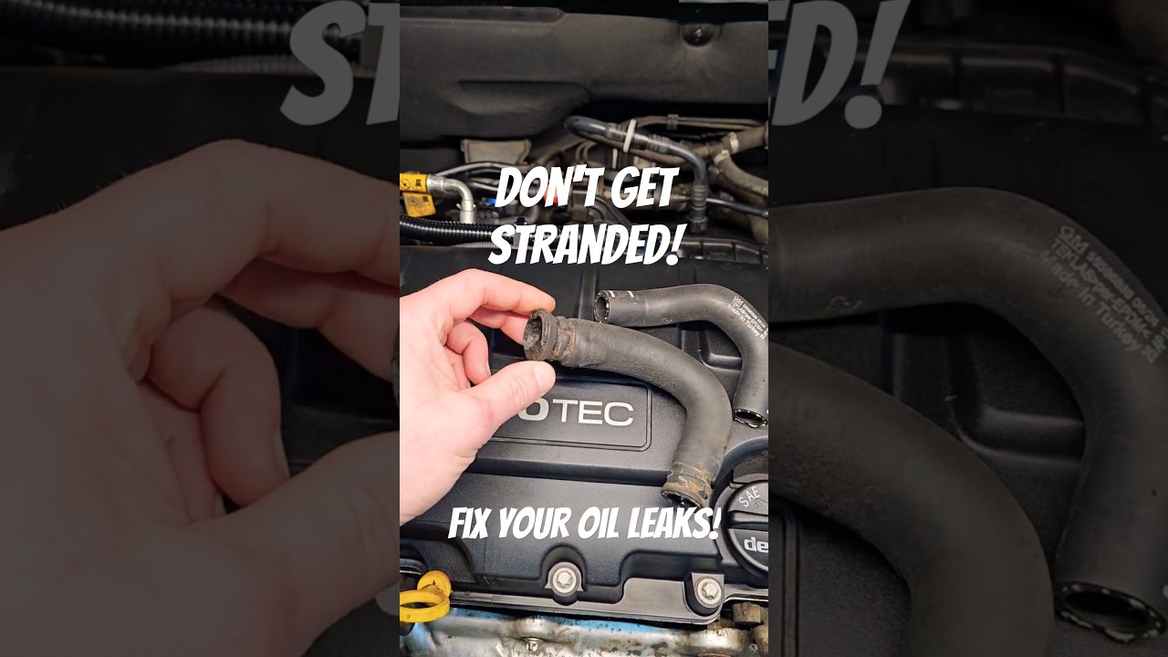 THIS is why you fix oil leaks!