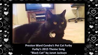 Preston Condra's Pet Cat Furby 2015 Theme Song - Black Cat by Janet Jackson