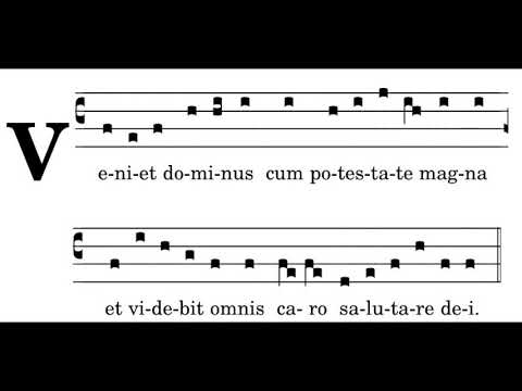 Veniet Dominus Cum, Antiphon