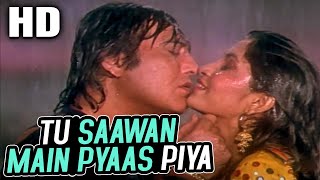 Tu Saawan Main Pyaas Piya | Lata Mangeshkar | Parampara 1993 Songs | Vinod Khanna, Ramya Krishnan