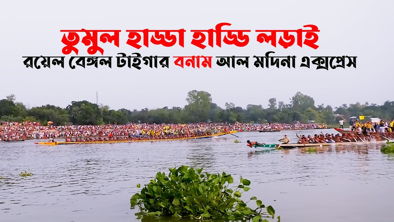 তুমুল হাড্ডা হাড্ডি লড়াই রয়েল বেঙ্গল টাইগার বনাম আল মদিনা এক্সপ্রেস |