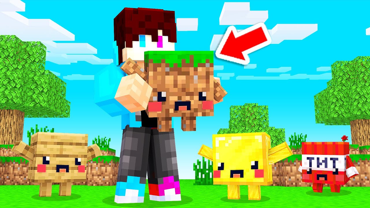 MINECRAFT Maar Blokken Veranderen In HUISDIEREN!