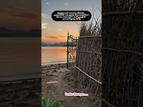 കൊല്ലംങ്കോട്ട് #malayalam #biggbossmalayalam #song #love