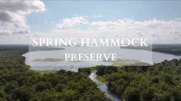 Spring Hammock Preserve | Longwood, FL
