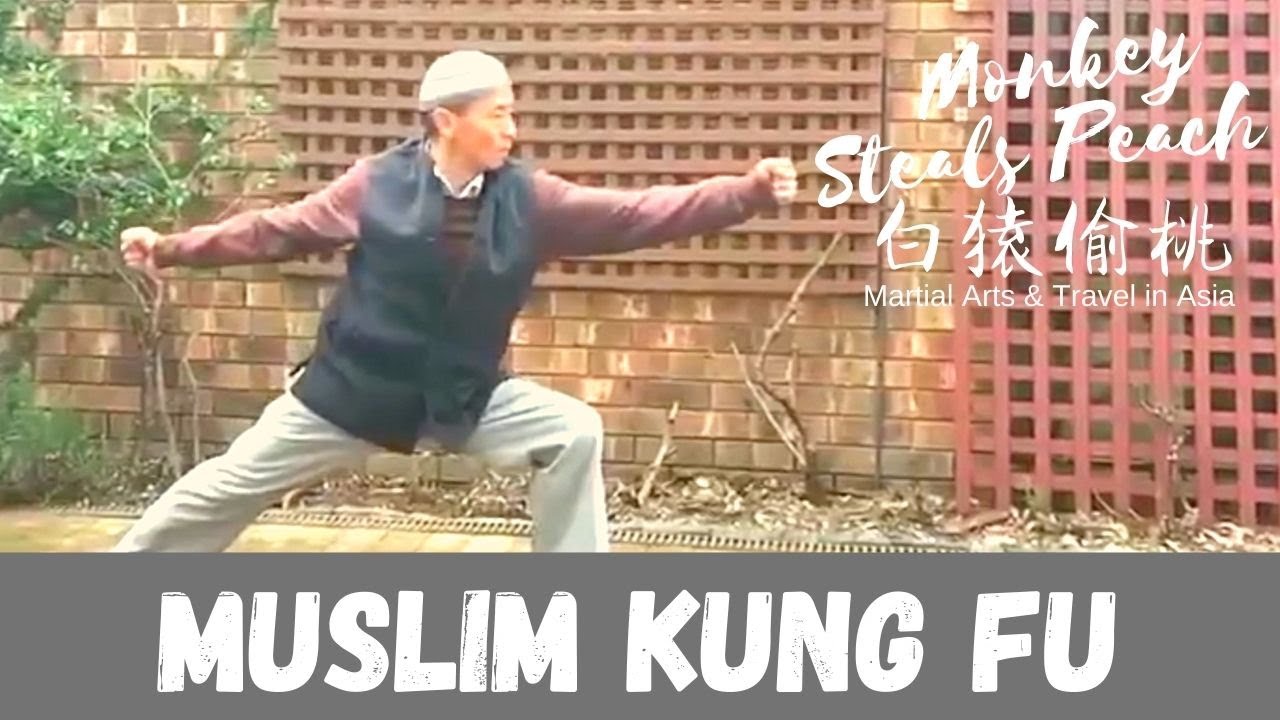 A Talk on Hui Muslim Martial Arts: Cha Quan, Tan Tui, Xinyi Liuhe w/ Wang Da Peng