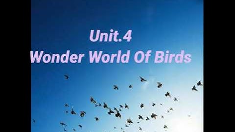 STD:4  EVS UNIT:4 WONDER WORLD OF BIRDS