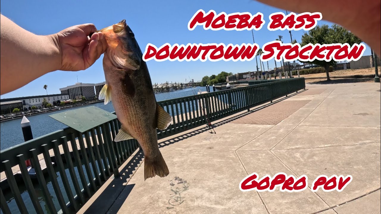 Thiers BIG BASS at Downtown Stockton !!