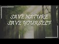 Save tree project