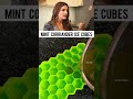 Radhika Madan magic ice cube | Farah khan #shorts #viralvideo #youtubeshorts #trending #farahkhan