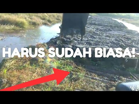 cara-kerja-exca-di-rawa(lumpur)-dengan-batang-kelapa(mating)