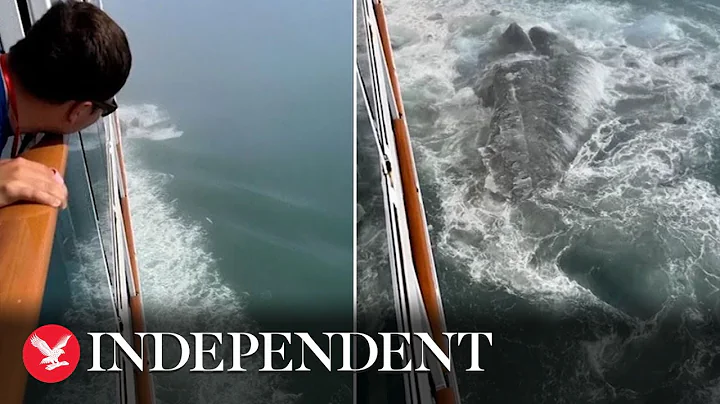 Its Titanic 2 0!: Passenger captures moment cruise...