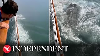 ‘It’s Titanic 2 0!’: Passenger captures moment cruise ship hits iceberg off coast of Alaska