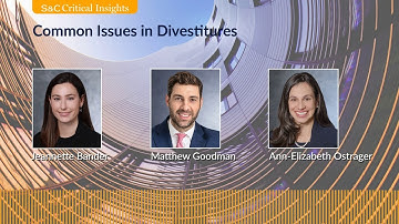 S&C Critical Insights - Common Issues in Divestitures